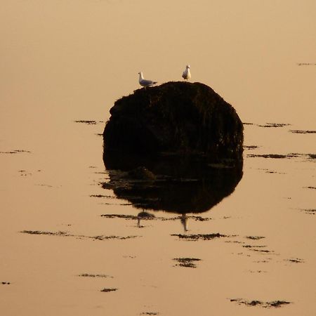 Waterfront Rest B&B Clifden Buitenkant foto