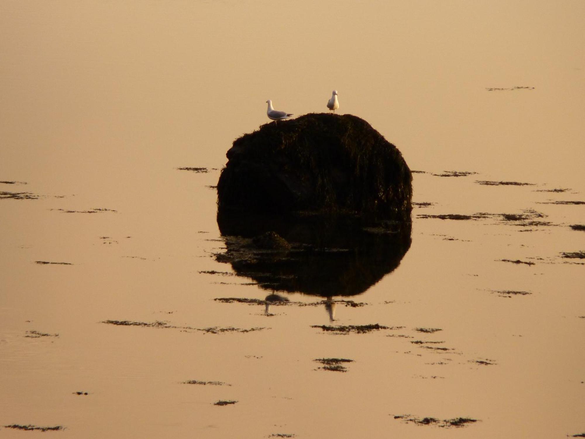 Waterfront Rest B&B Clifden Buitenkant foto