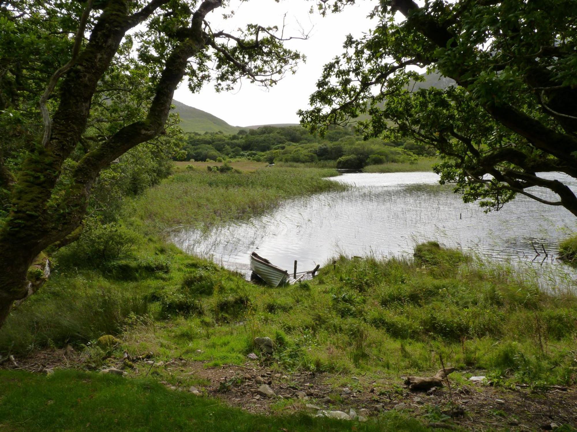 Waterfront Rest B&B Clifden Buitenkant foto