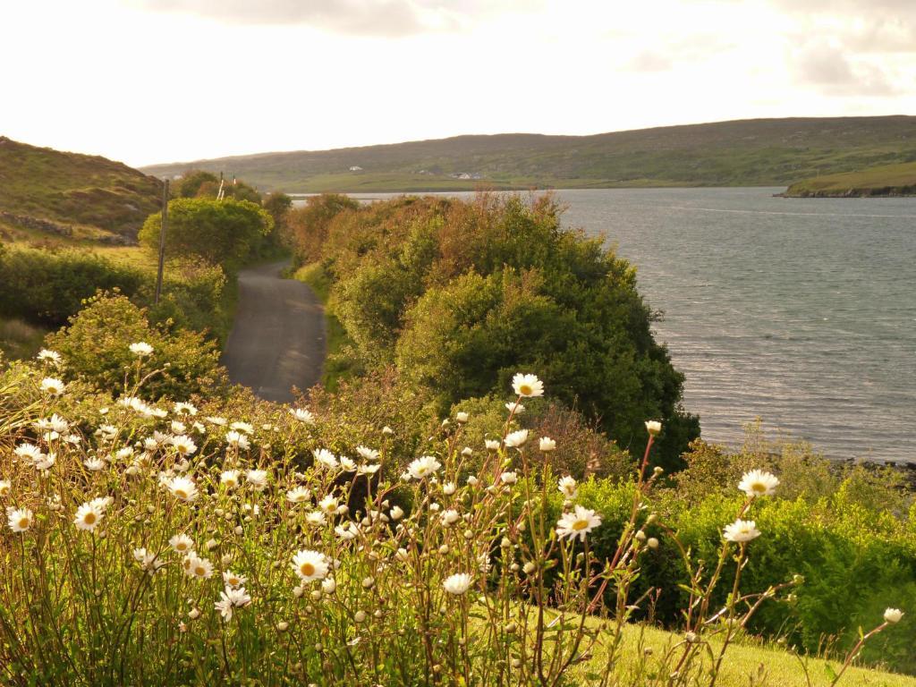 Waterfront Rest B&B Clifden Buitenkant foto