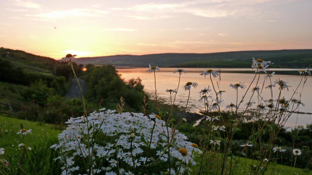 Waterfront Rest B&B Clifden Buitenkant foto